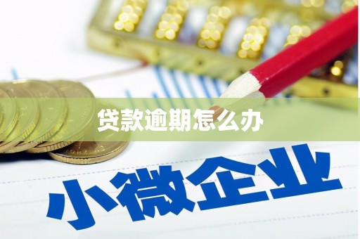 新埔贷款逾期怎么办