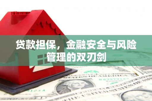 文山贷款担保，金融安全与风险管理的双刃剑