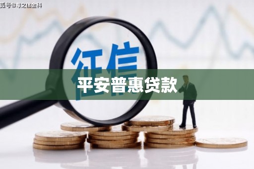 寻甸平安普惠贷款