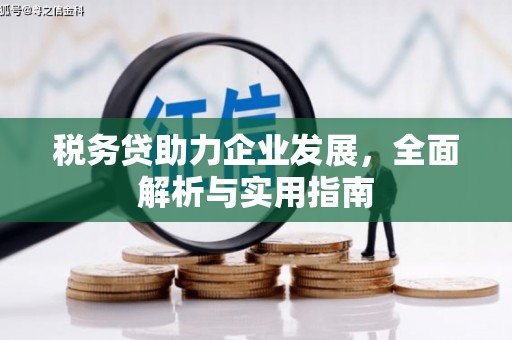 深水埗税务贷助力企业发展，全面解析与实用指南