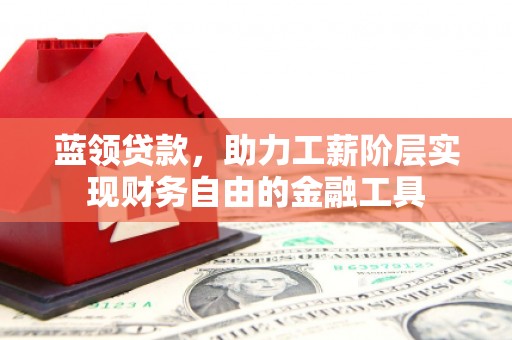 玛曲蓝领贷款，助力工薪阶层实现财务自由的金融工具