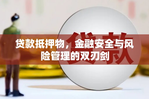 沾化贷款抵押物，金融安全与风险管理的双刃剑