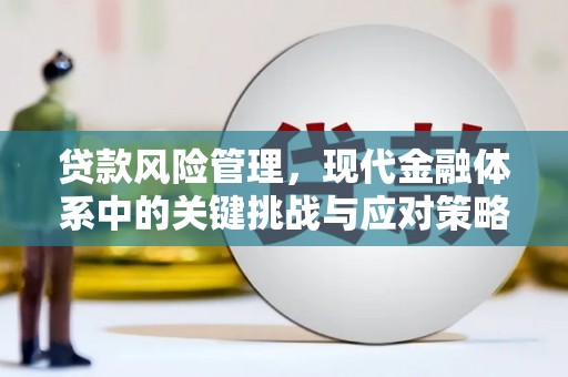 凤庆贷款风险管理，现代金融体系中的关键挑战与应对策略