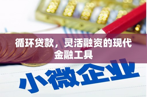 大内循环贷款，灵活融资的现代金融工具