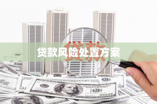 珙县贷款风险处置方案
