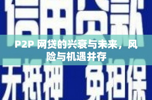 儋州P2P 网贷的兴衰与未来，风险与机遇并存