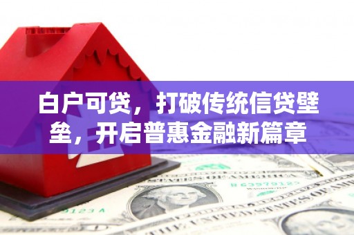 定结白户可贷，打破传统信贷壁垒，开启普惠金融新篇章