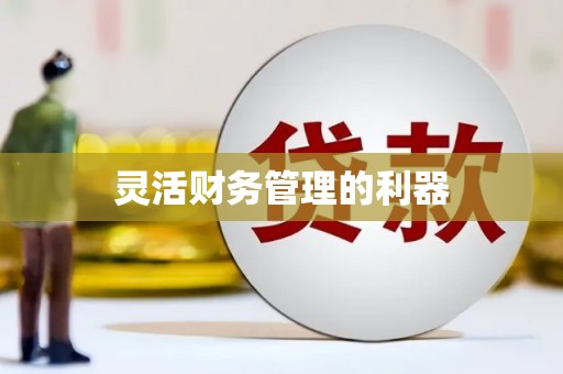 新泰灵活财务管理的利器