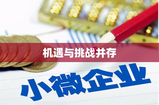 金山机遇与挑战并存 金山机遇与挑战并存