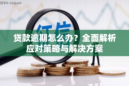 芦淞贷款逾期怎么办？全面解析应对策略与解决方案