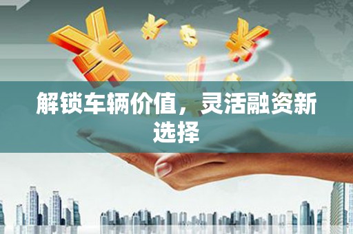 大冶解锁车辆价值，灵活融资新选择