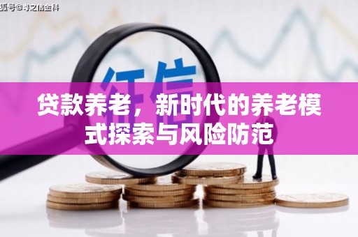 南岳贷款养老，新时代的养老模式探索与风险防范