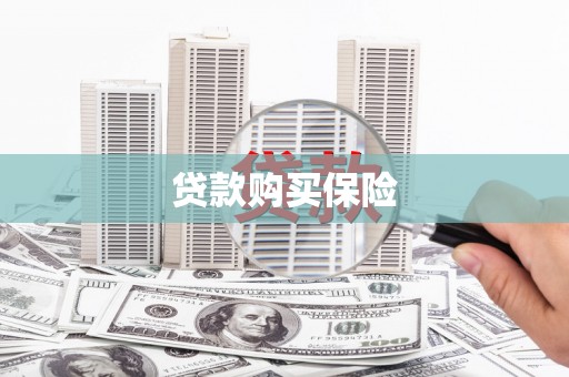 小店贷款购买保险
