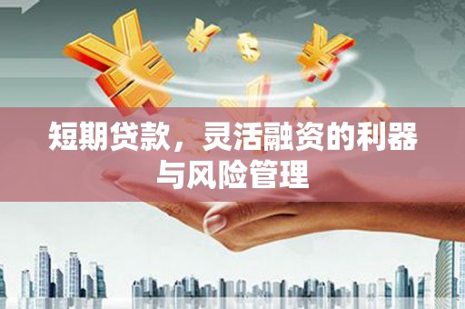 青河短期贷款，灵活融资的利器与风险管理