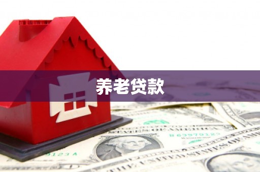 勉县养老贷款